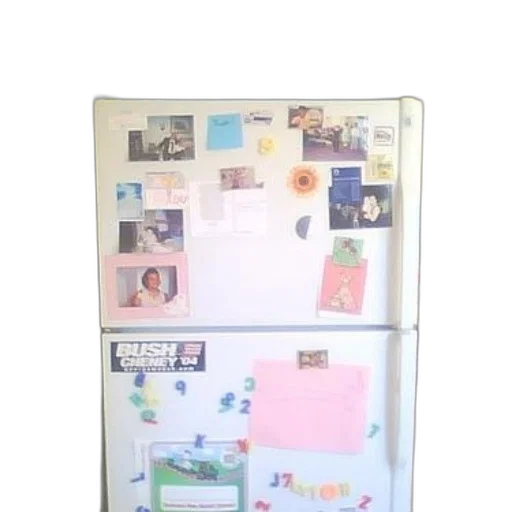 food, pastel, refrigerator, bush transparent PNG cut-out