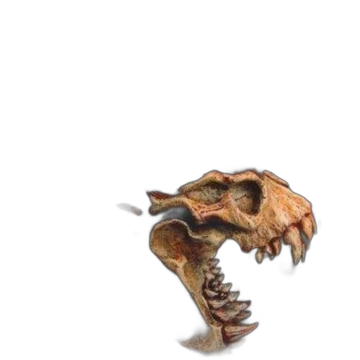 dragon, creature, animal, staff transparent PNG cut-out