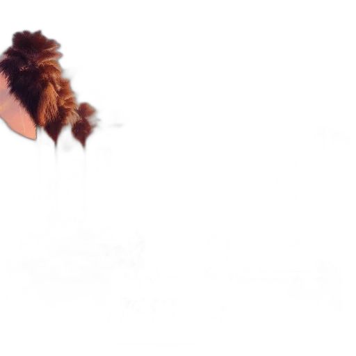 hair, creature, hat, animal transparent PNG cut-out