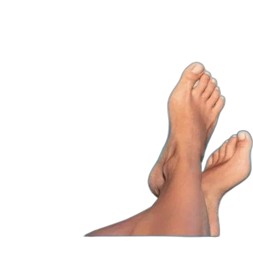 shoes, face, hair, animal transparent PNG cut-out