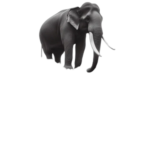 animal, hat, creature, staff transparent PNG cut-out