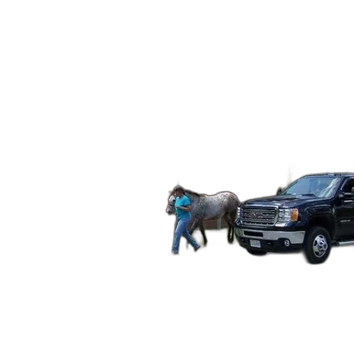 car, animal, weapon, city street transparent PNG cut-out