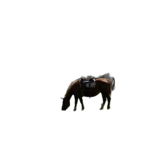 animal, creature, robot, dragon transparent PNG cut-out