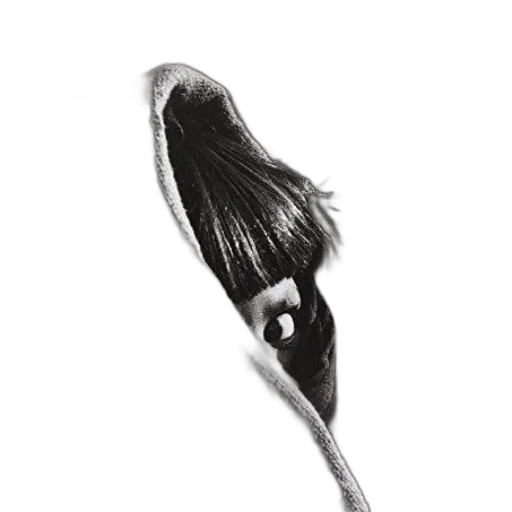 hair, staff, hat, flower transparent PNG cut-out