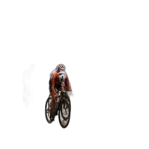 animal, creature, car, hair transparent PNG cut-out