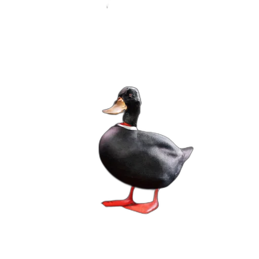 animal, creature, hat, staff transparent PNG cut-out