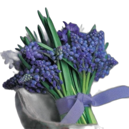crown, flower, staff, hat transparent PNG cut-out