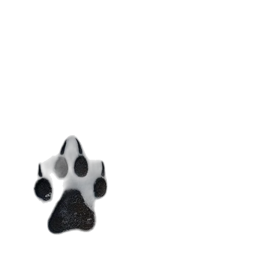animal, creature, staff, shoes transparent PNG cut-out