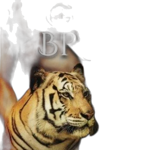 animal, creature, photorealistic, concept art transparent PNG cut-out