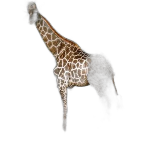 animal, staff, umbrella, hat transparent PNG cut-out