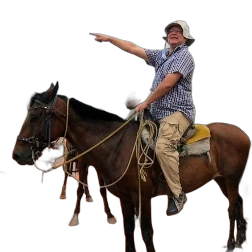 animal, staff, hat, weapon transparent PNG cut-out