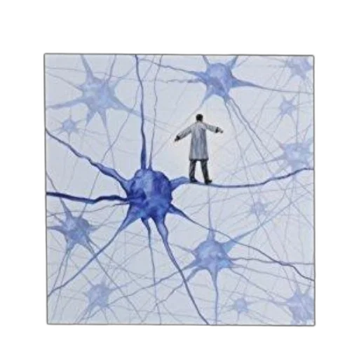 umbrella, jacket, concept art, image transparent PNG cut-out