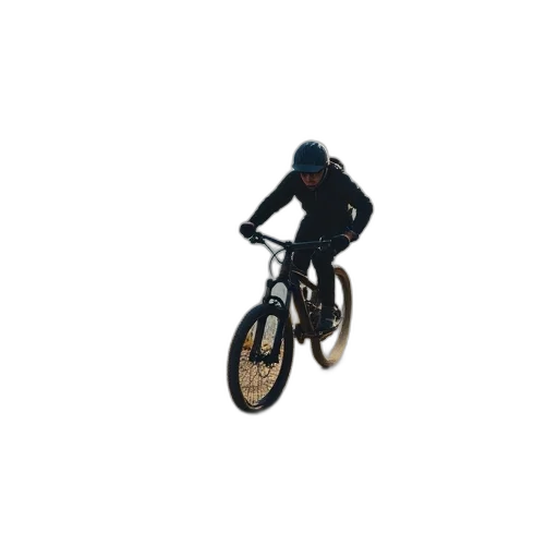 animal, creature, jacket, 3d render transparent PNG cut-out