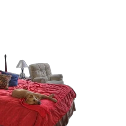 furniture, animal, staff, umbrella transparent PNG cut-out
