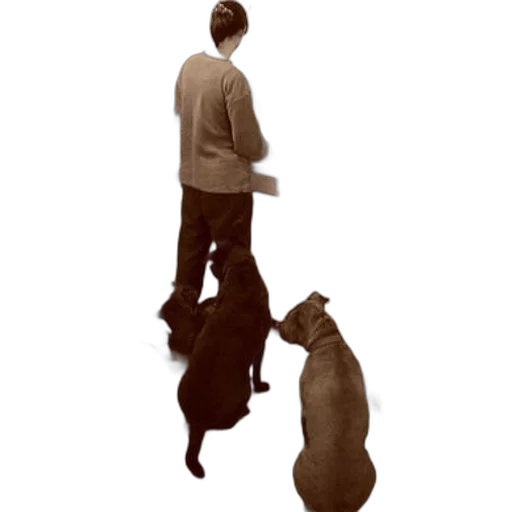 staff, animal, concept art, photorealistic transparent PNG cut-out