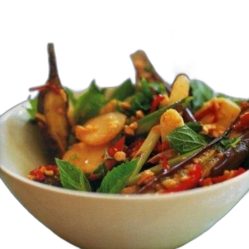 food, vibrant, dish, eggplant transparent PNG cut-out