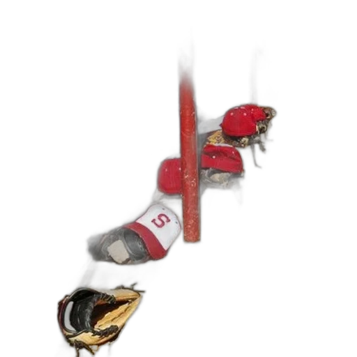 staff, weapon, dragon, sword transparent PNG cut-out