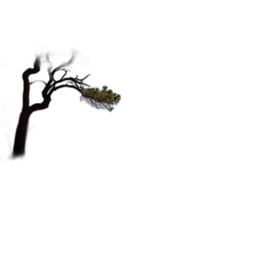 tree, dragon, staff, crown transparent PNG cut-out
