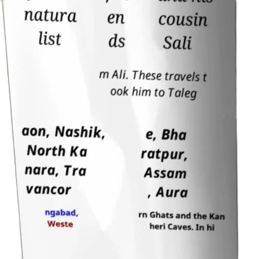 bottle, poster, text, english transparent PNG cut-out