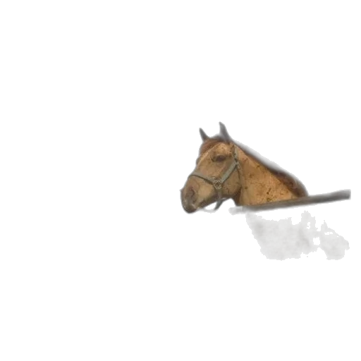 animal, staff, hat, creature transparent PNG cut-out