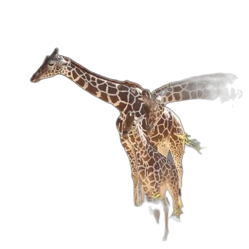 animal, dragon, creature, staff transparent PNG cut-out