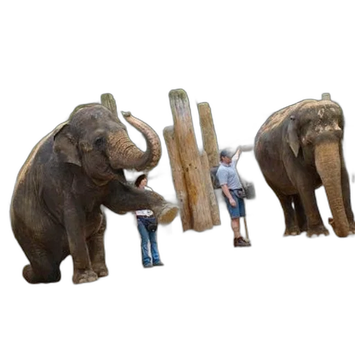 animal, staff, concept art, 3d render transparent PNG cut-out