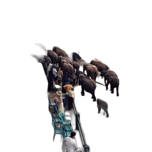 robot, weapon, animal, staff transparent PNG cut-out
