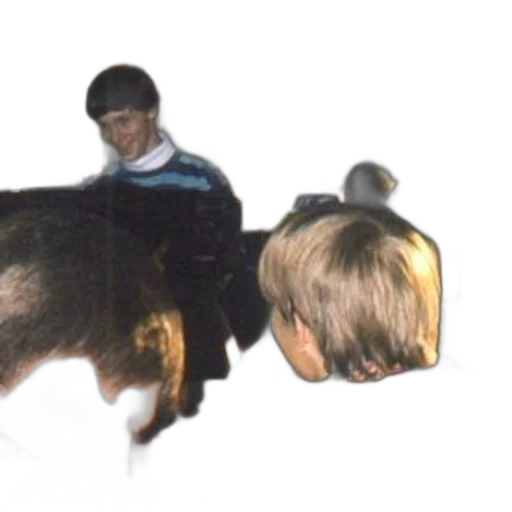animal, hair, creature, mask transparent PNG cut-out