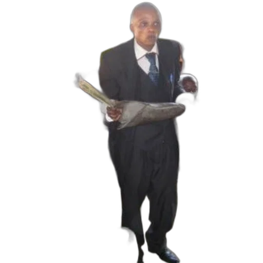 staff, weapon, umbrella, sword transparent PNG cut-out