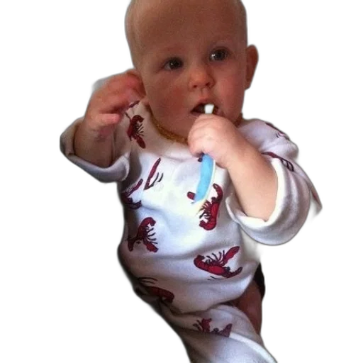 staff, baby, wearing, lobster transparent PNG cut-out