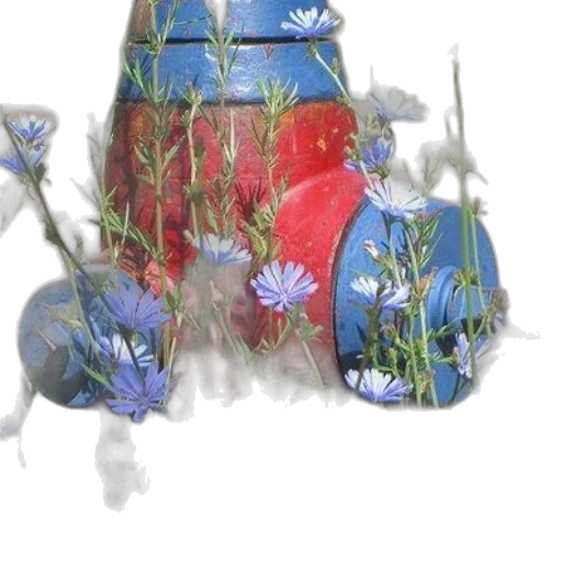 flower, crown, dress, bottle transparent PNG cut-out
