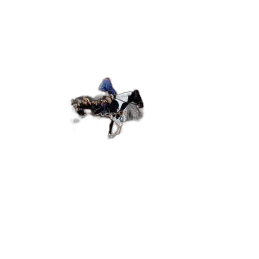 robot, animal, car, creature transparent PNG cut-out