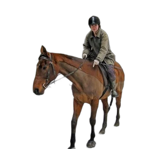 jacket, staff, animal, hat transparent PNG cut-out
