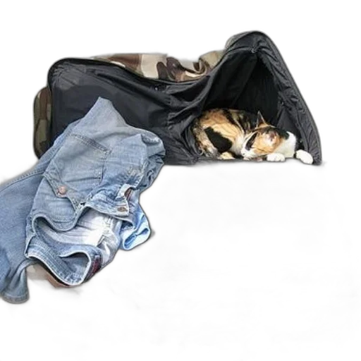 jacket, shoes, dress, animal transparent PNG cut-out