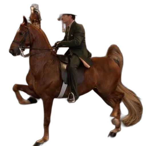 hat, animal, jacket, staff transparent PNG cut-out