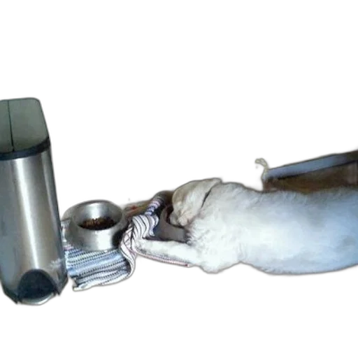 staff, bottle, weapon, jewelry transparent PNG cut-out