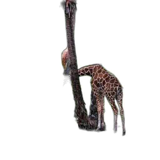 animal, creature, staff, weapon transparent PNG cut-out