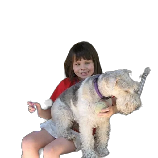 animal, creature, staff, weapon transparent PNG cut-out