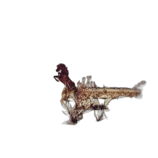 dragon, animal, jewelry, creature transparent PNG cut-out