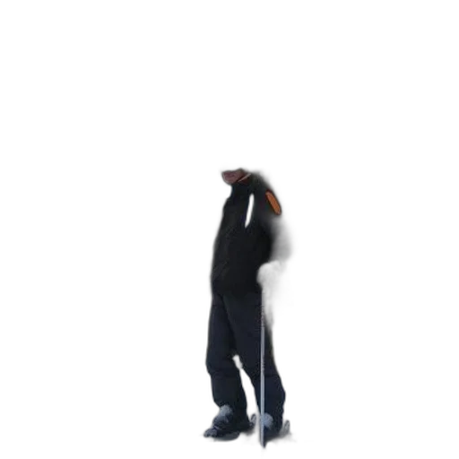 jacket, staff, mask, hat transparent PNG cut-out