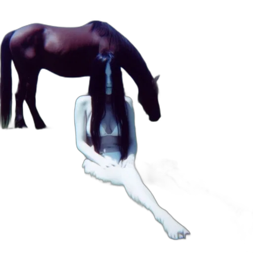 animal, creature, hair, staff transparent PNG cut-out
