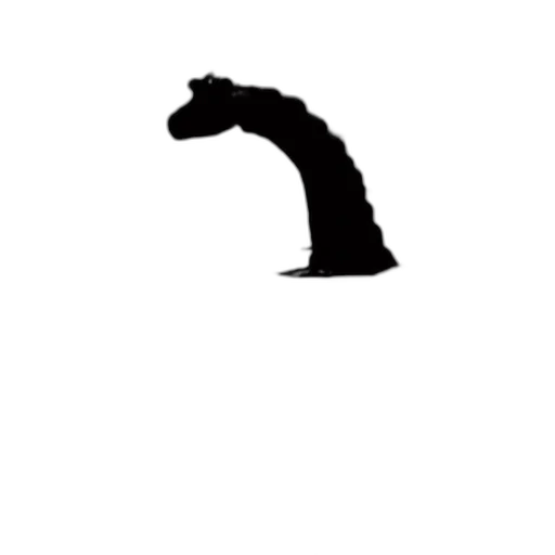 dragon, hair, animal, creature transparent PNG cut-out