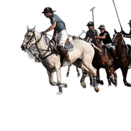 staff, group, polo, players transparent PNG cut-out