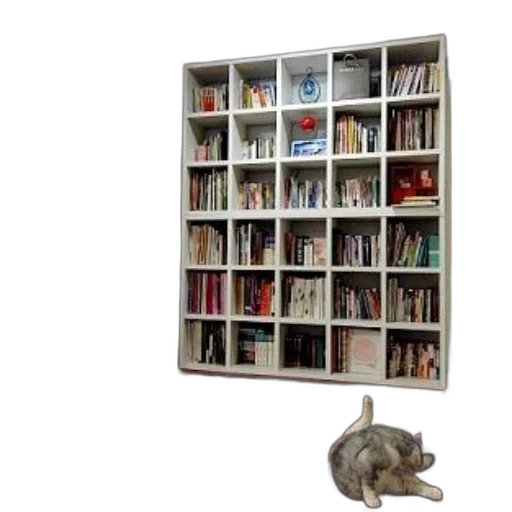 furniture, animal, staff, cozy transparent PNG cut-out