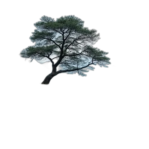 tree, dress, crown, hair transparent PNG cut-out