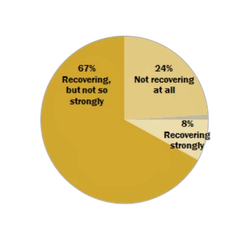 pie, chart, shows, people transparent PNG cut-out