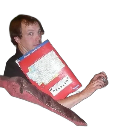 shoes, furniture, creature, weapon transparent PNG cut-out