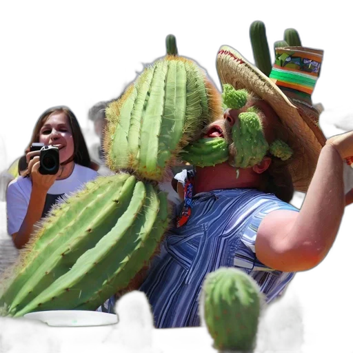 hat, creature, mask, food transparent PNG cut-out