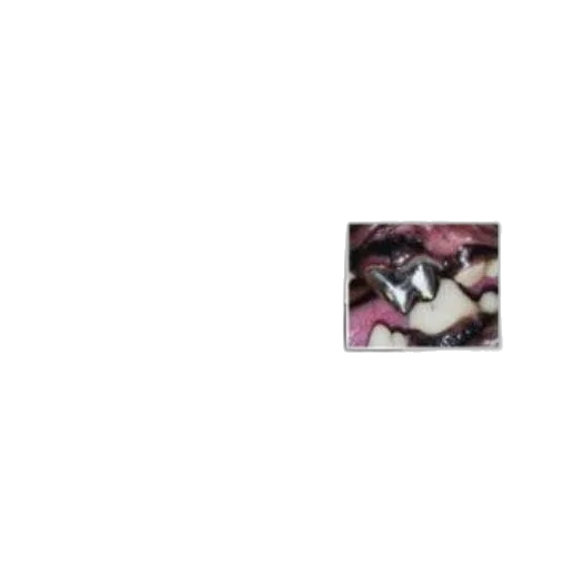 food, animal, shoes, staff transparent PNG cut-out