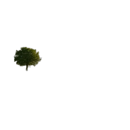 tree, crown, hat, creature transparent PNG cut-out